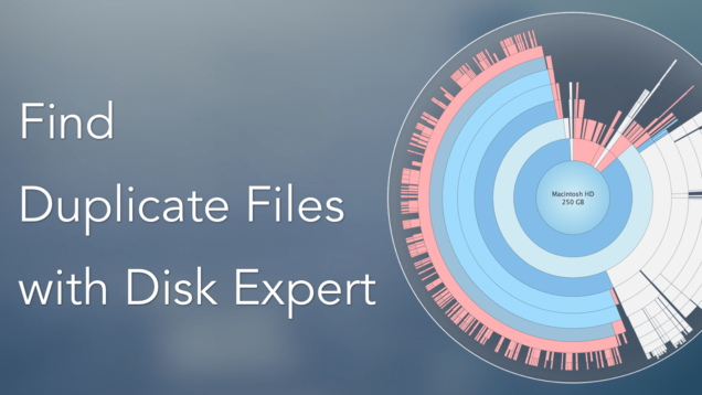 disk expert - duplicates