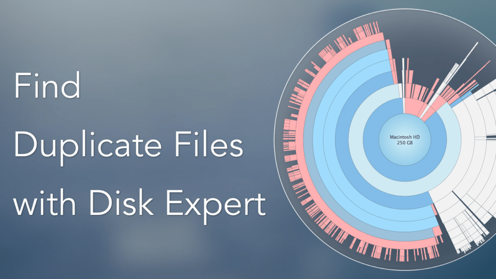 Find Duplicate Files with Disk Expert | Nektony Blog