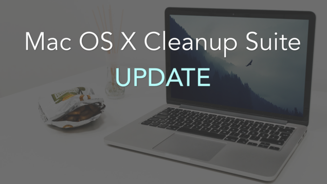 cleanup bundle