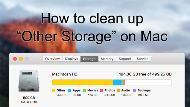 clear macbook system storage