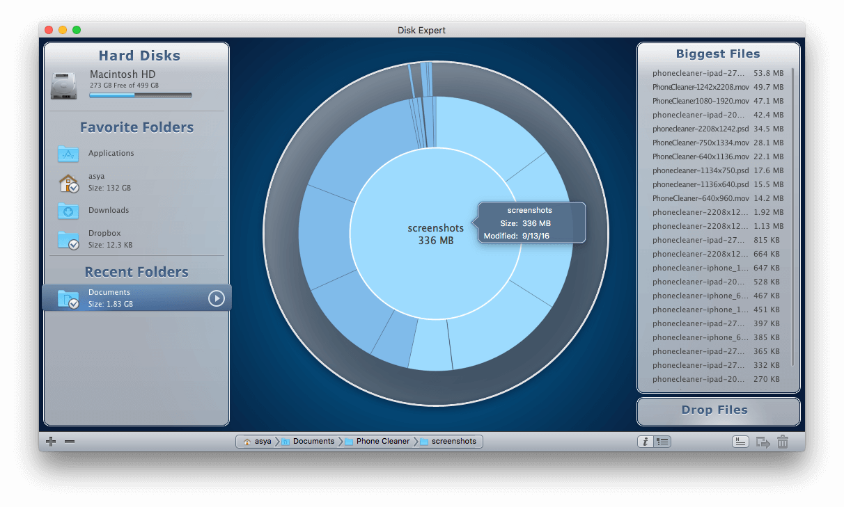 disk space analyzer mac