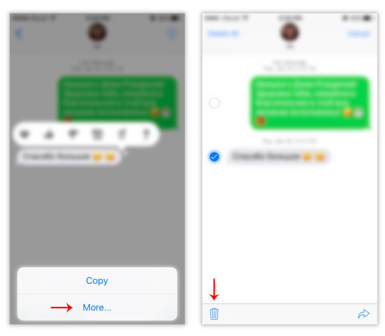 How To Delete Messages On IPhone Nektony