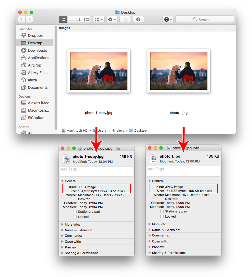 osx duplicate file finder