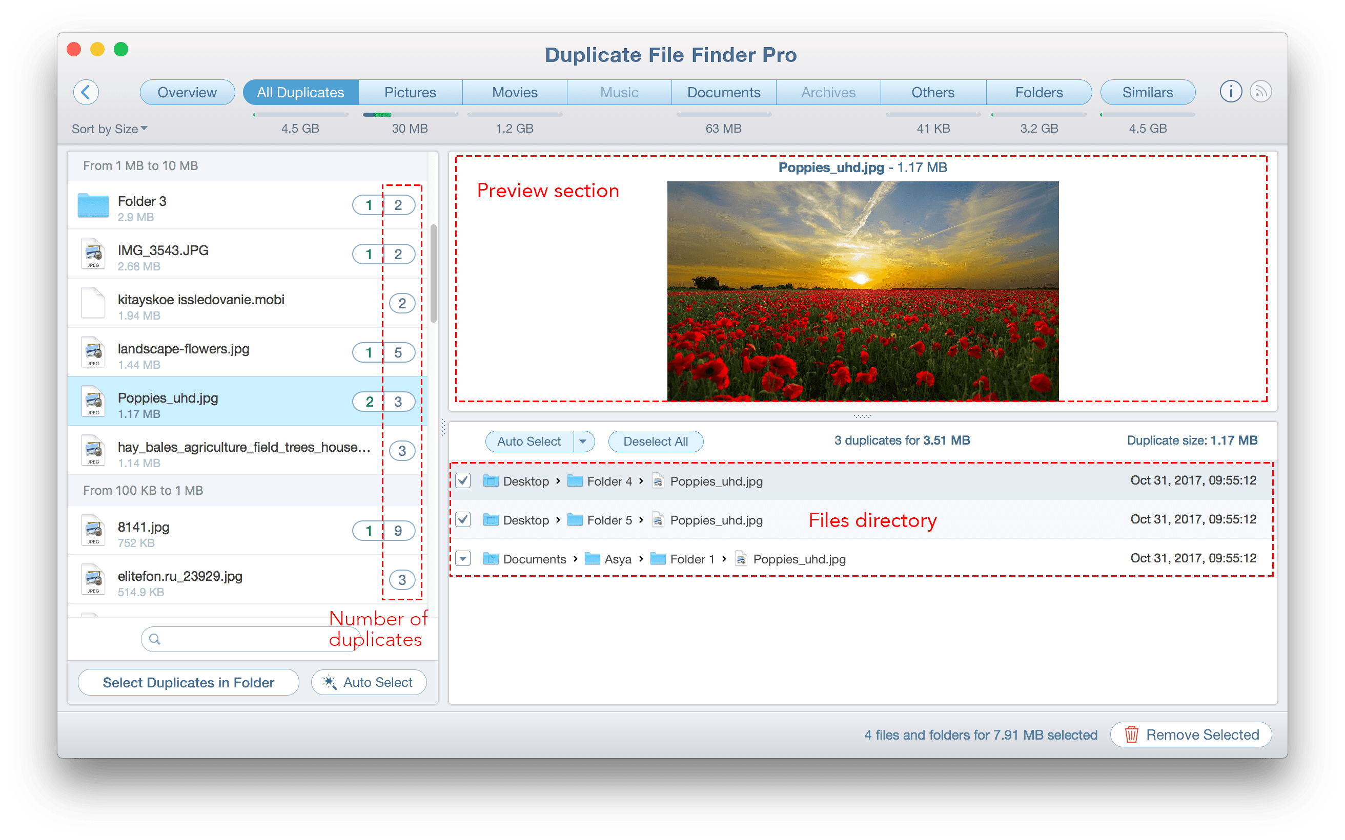Duplicate File Finder Professional 2023.15 for windows download