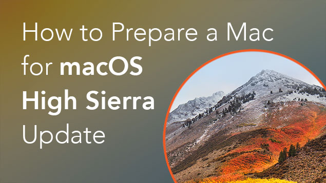 prepping for sierra for mac update