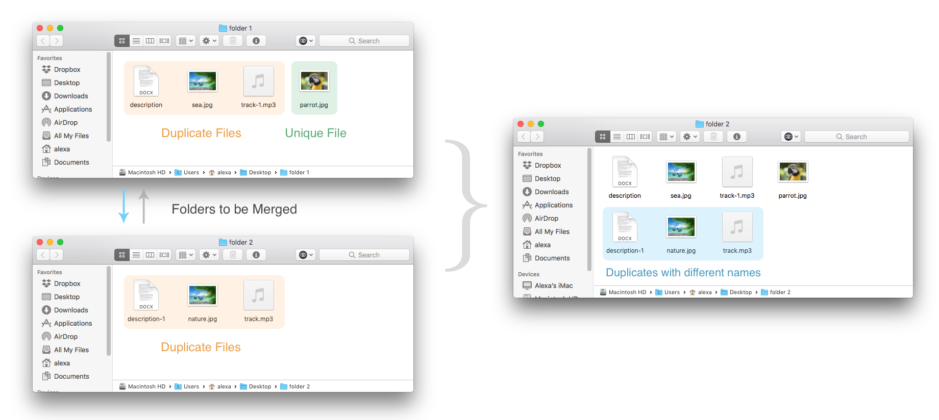 Files