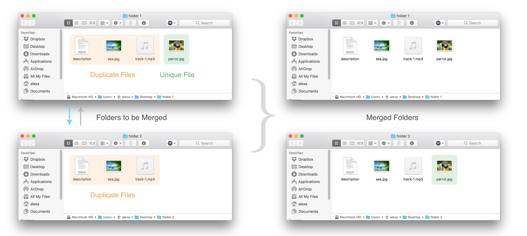 Merge Similar folders with Duplicate File Finder