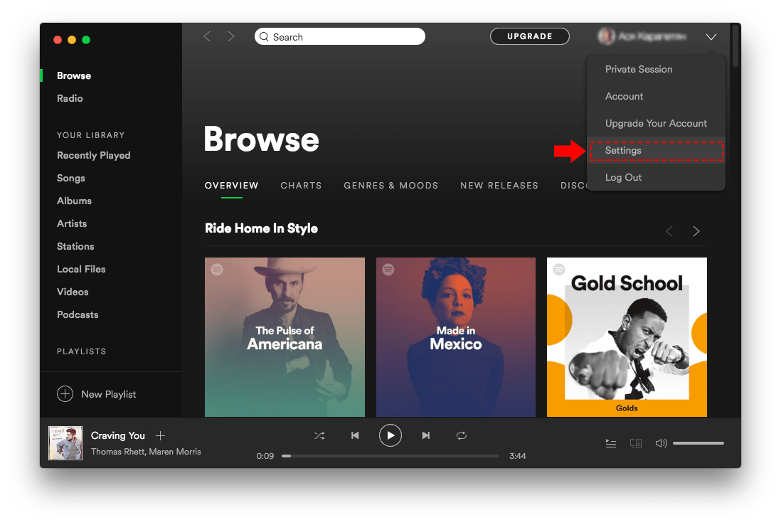 spotify on mac slow and glitch