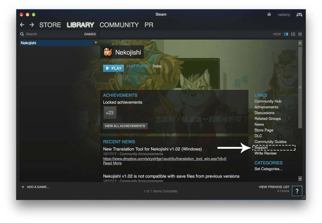 Steam application window when Library view activated