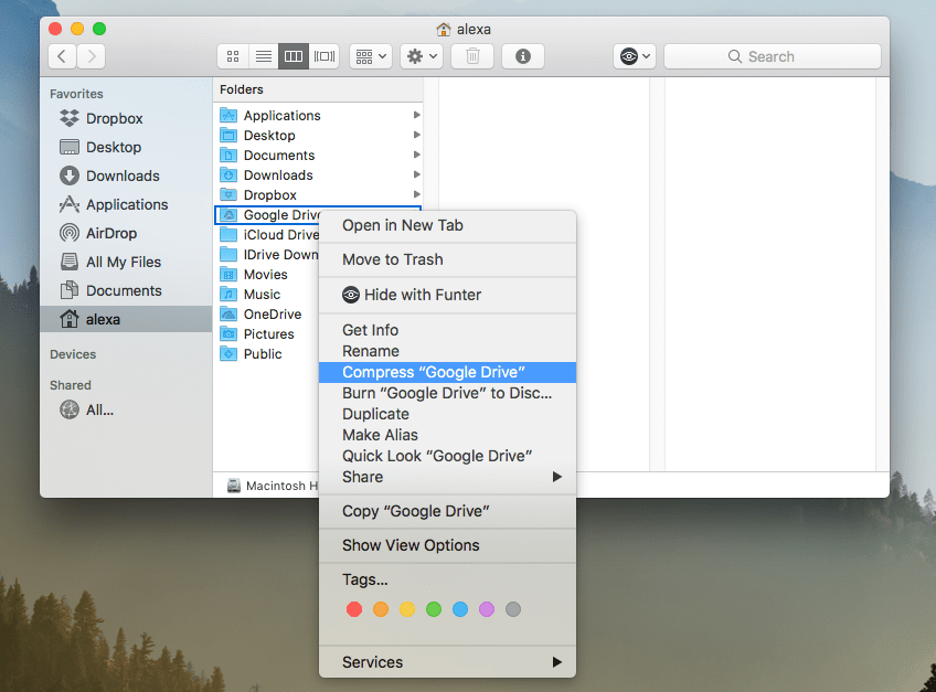 image type that will work for folders on mac