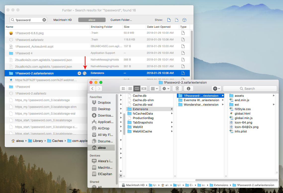 1password for mac 10.9