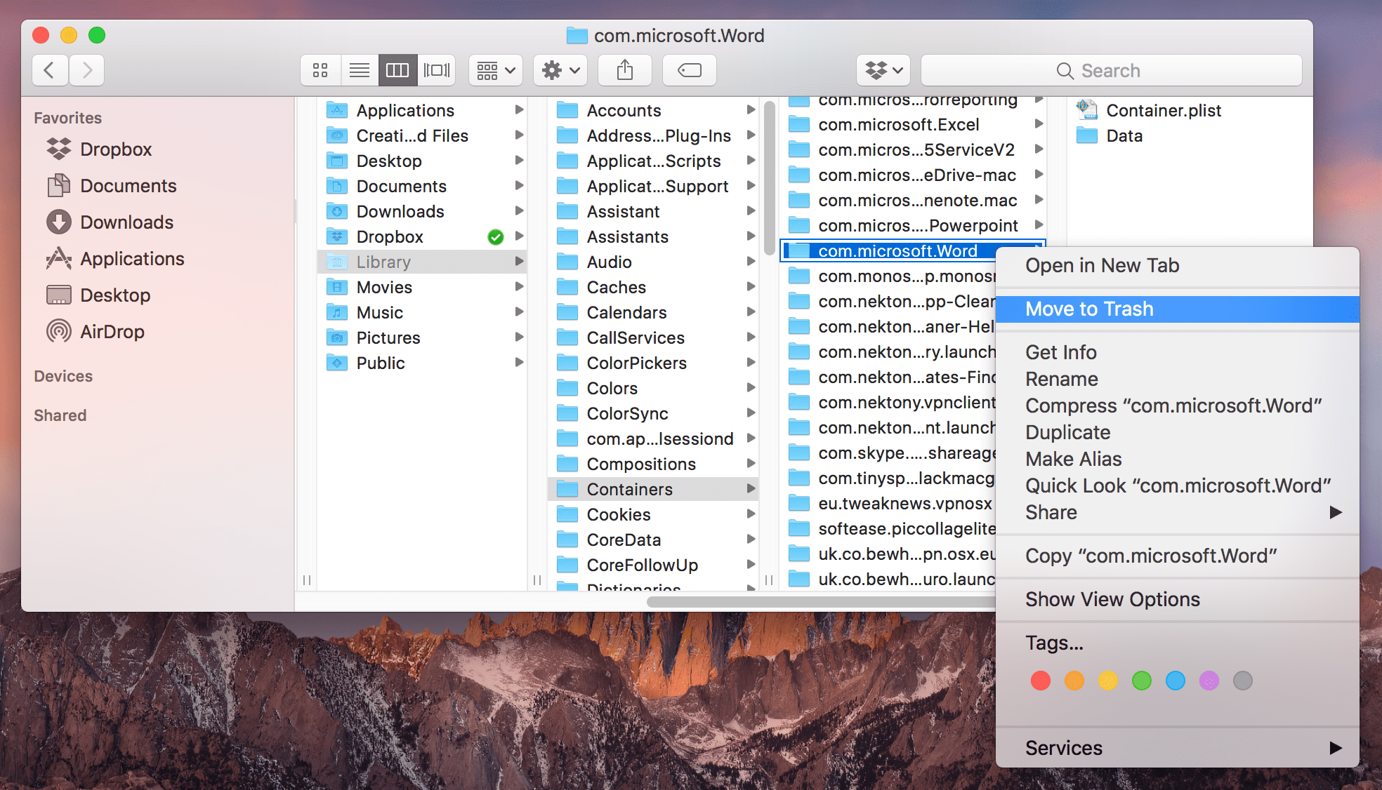 finder window showing word containers files
