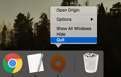 quit origin in dock panel
