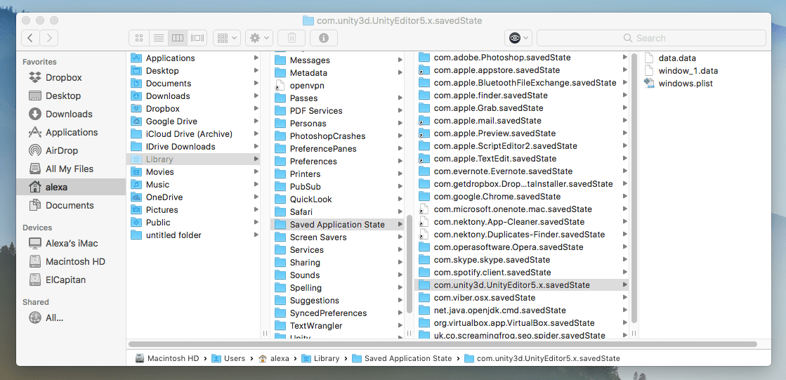 Finder window showing Unity service files
