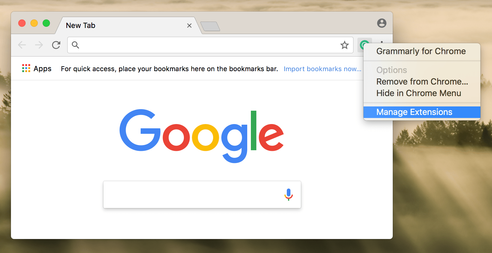 grammerly for chrome not working mac