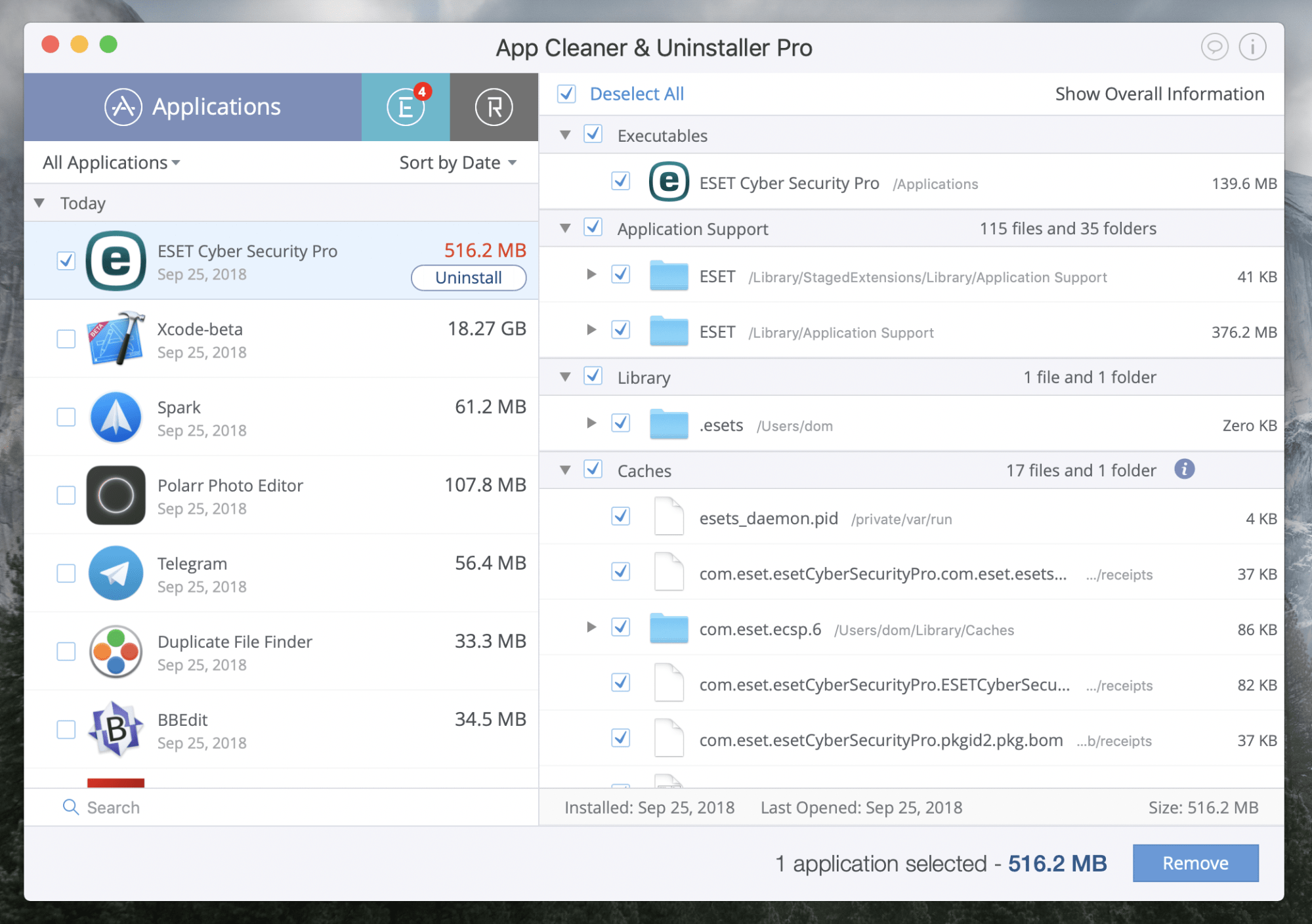 ESET Uninstaller 10.39.2.0 for ipod instal
