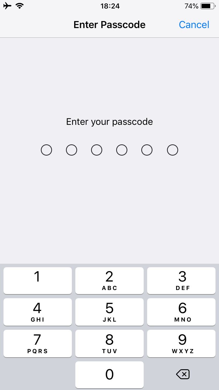 passcode to reset iPhone