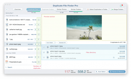 Duplicate File Finder Professional 2023.14 download the new version for mac