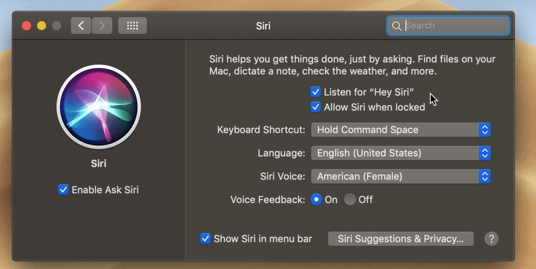 Siri window with Allow Siri when locked option enabled