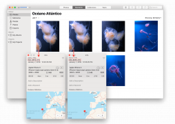 how to find duplicate photos in iphoto