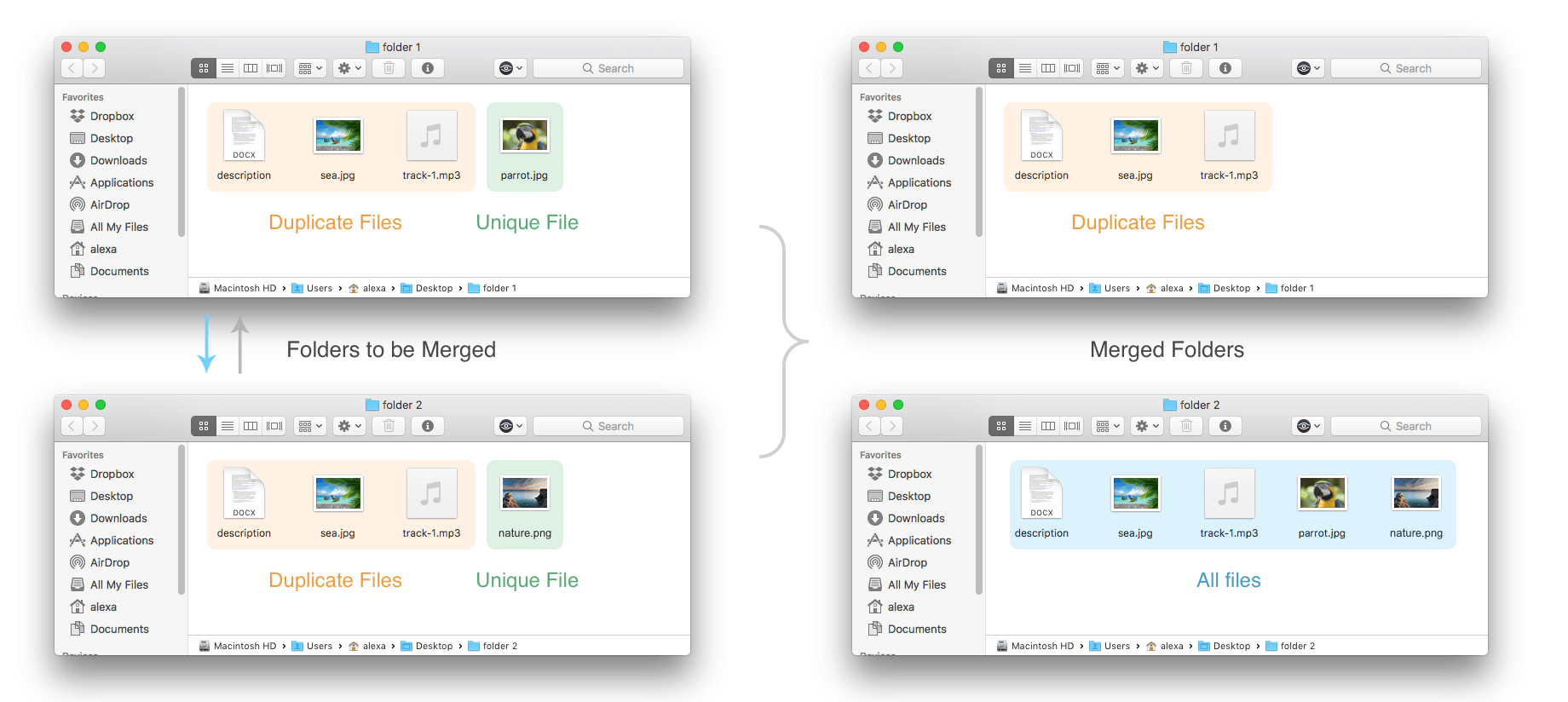 Finder windows showing moved files after merging folders
