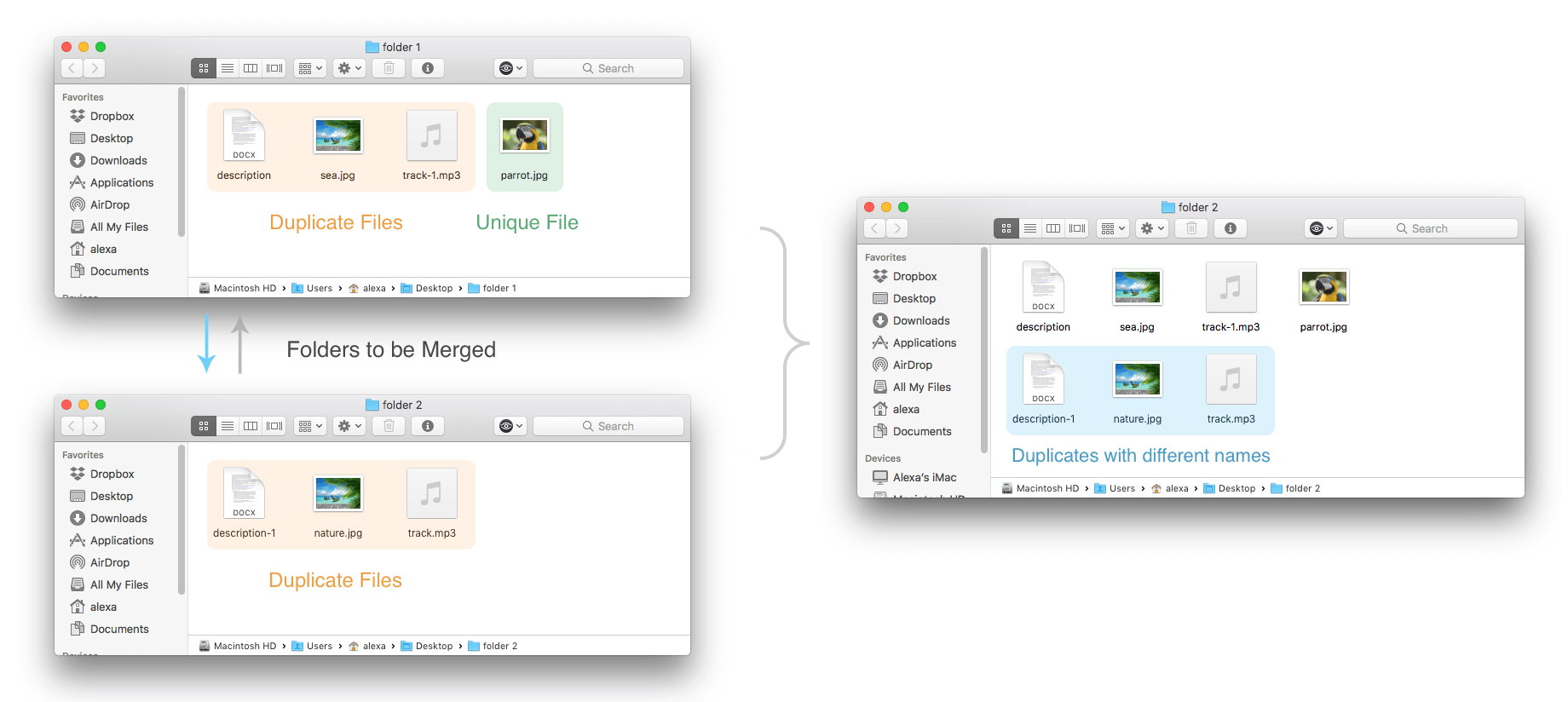Finder windows showing removed source folder after merging