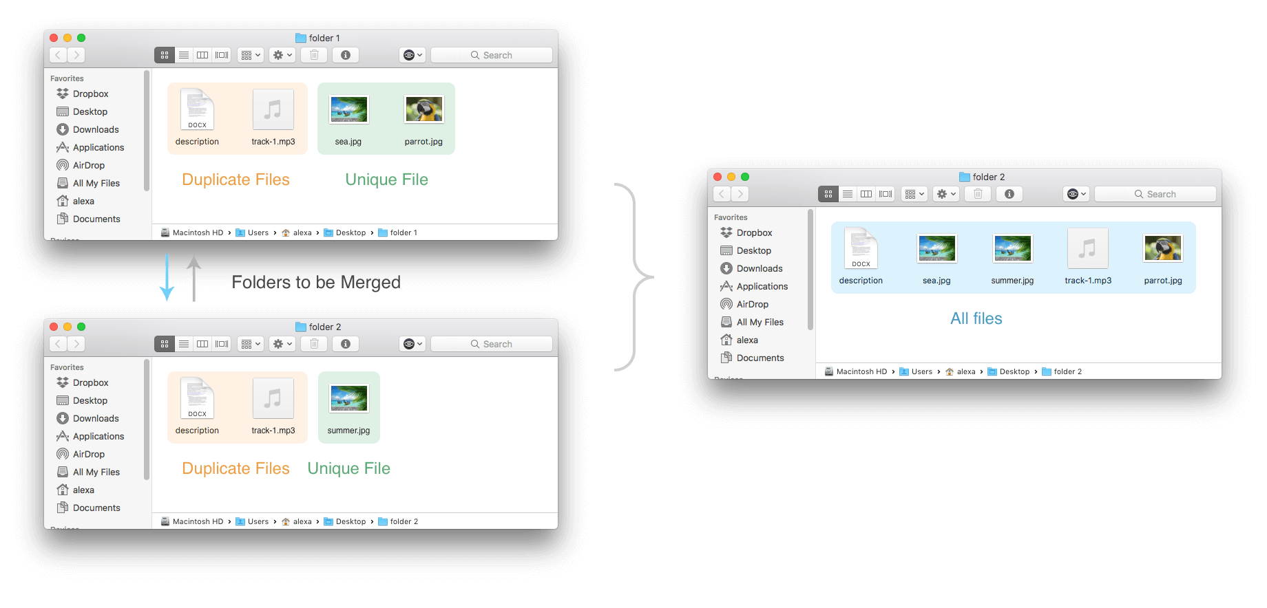 Finder windows showing duplicates after merging folders