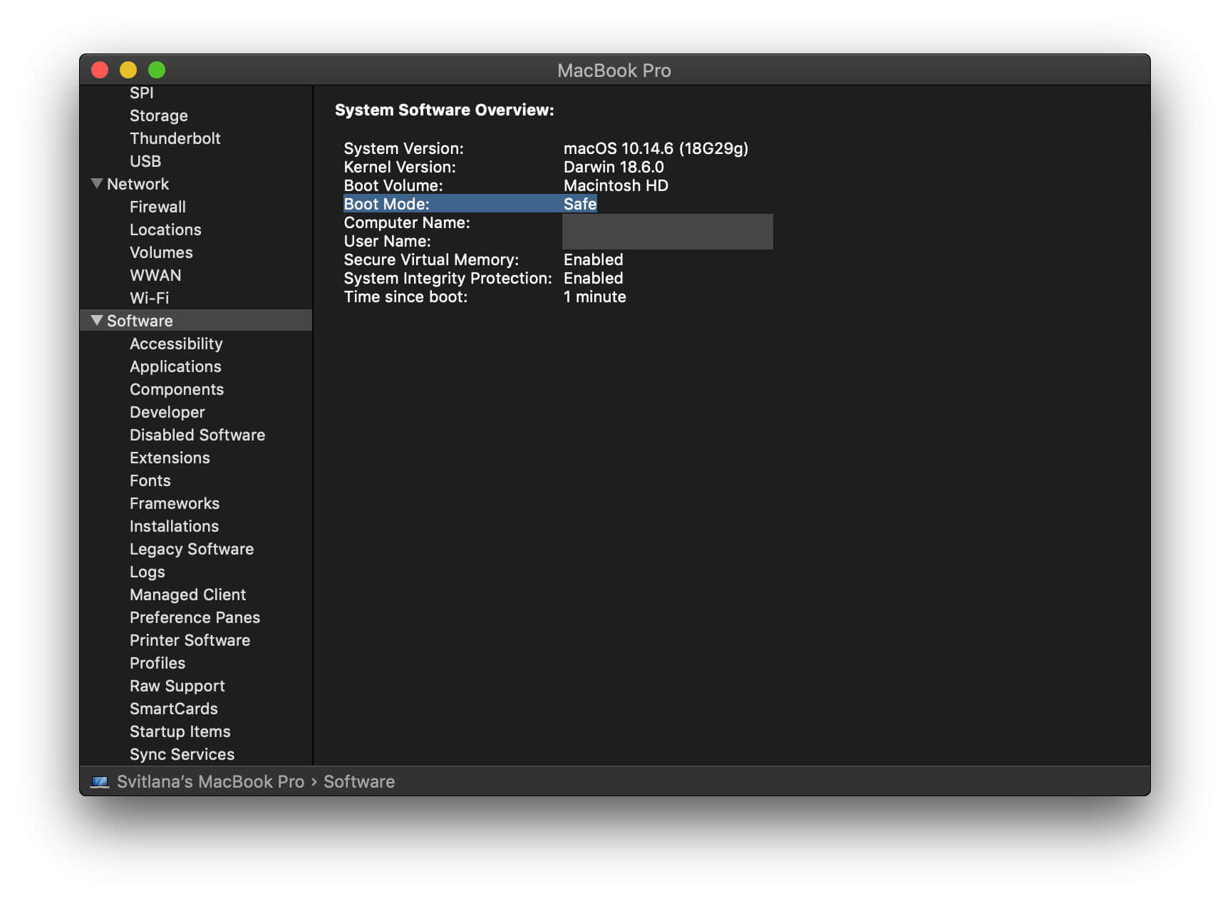 system software overview window