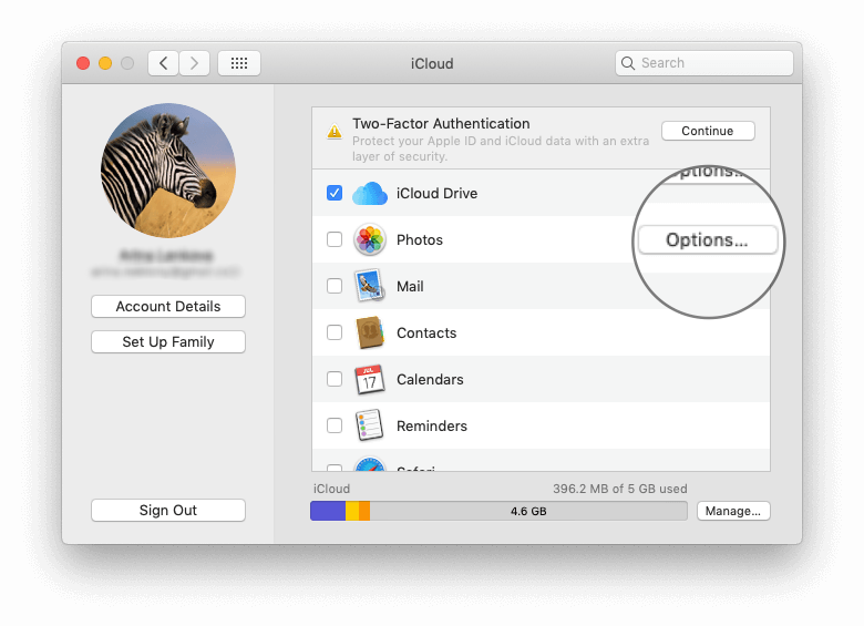 iCloud setting panel on Mac