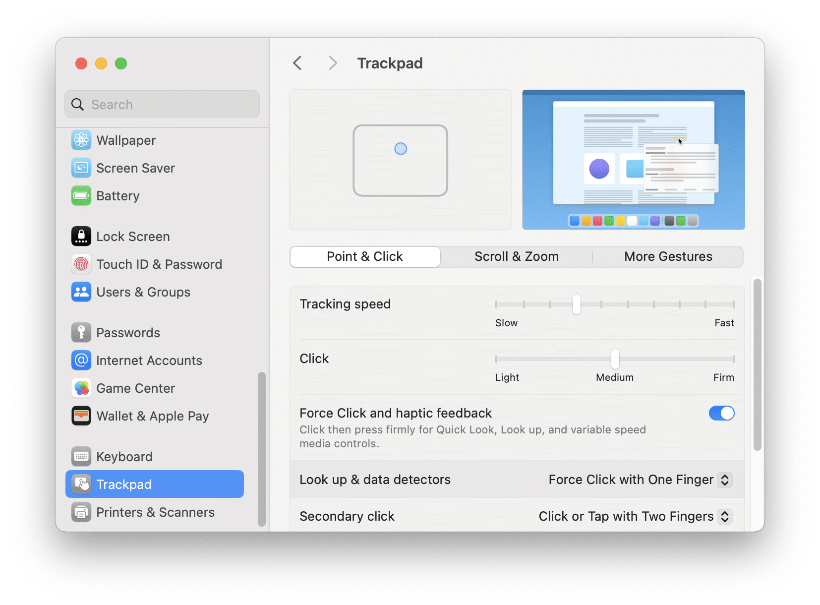Trackpad settings window showing Point and click tab