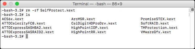 Terminal app window showing the command to check if the file was removed