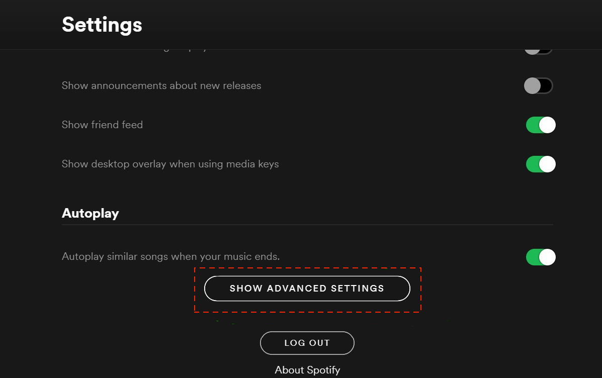 advanced setting button in Spotify