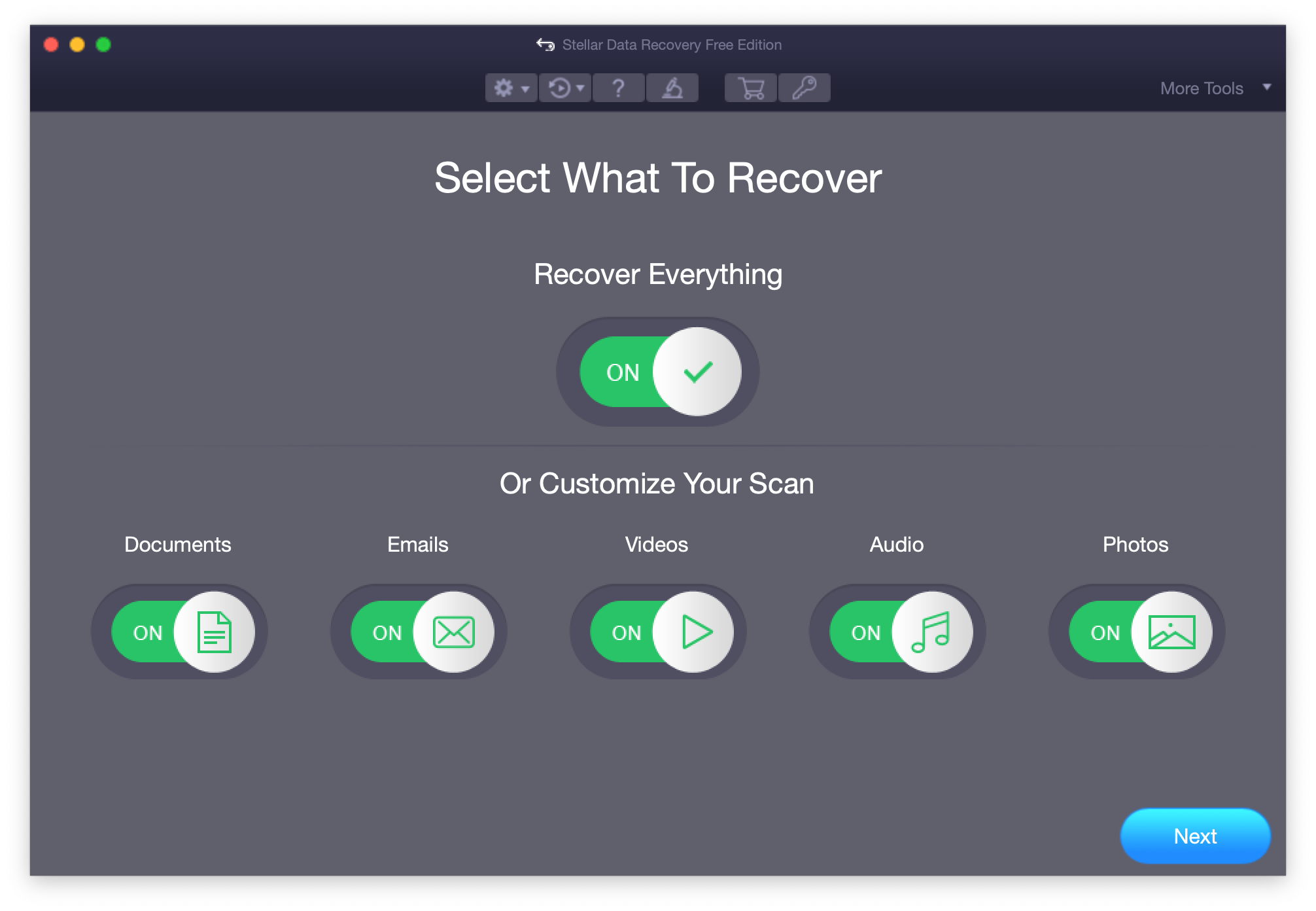 Stellar data recovery application window