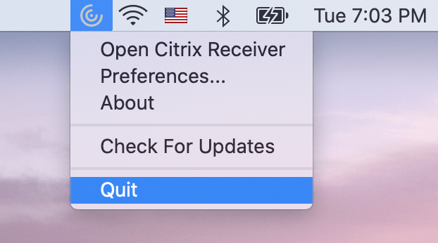 citrix receiver login issues