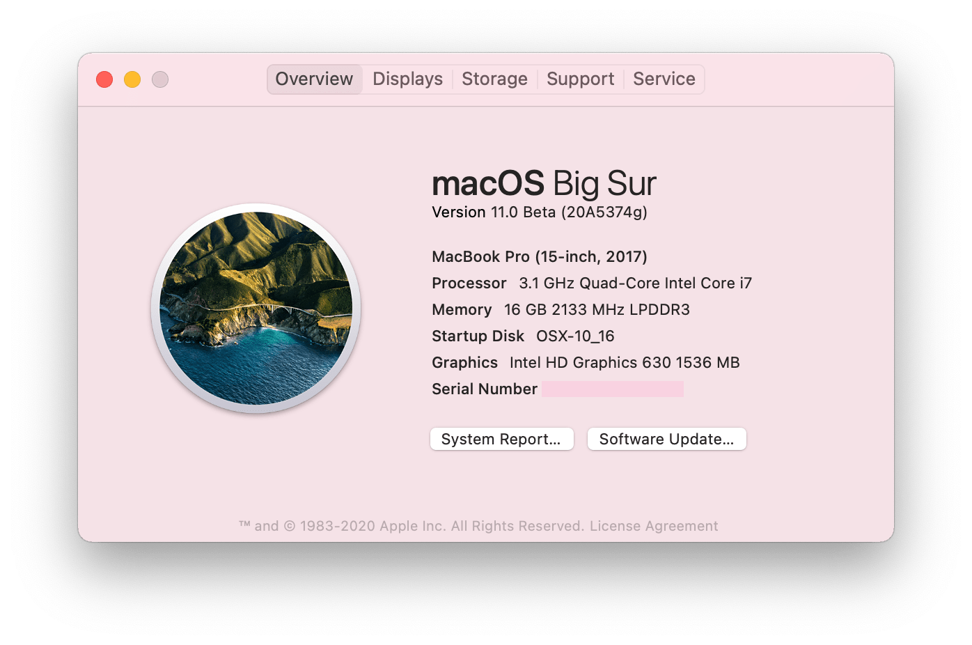 macOS Big Sur - about Mac panel