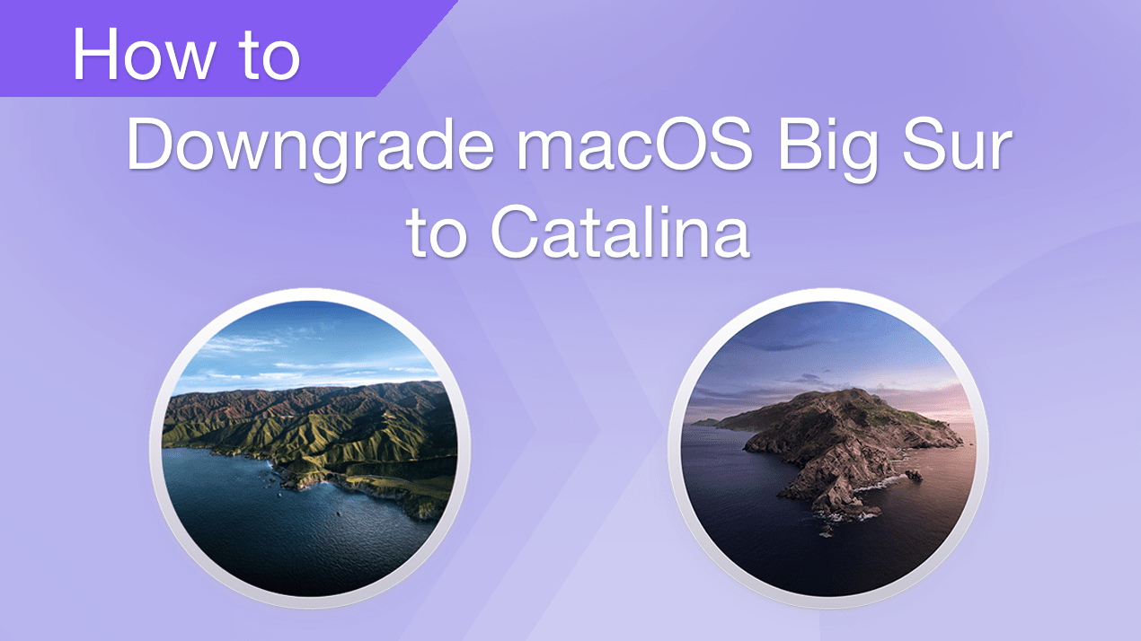 How to downgrade macOS Big Sur to Catalina or previous versions