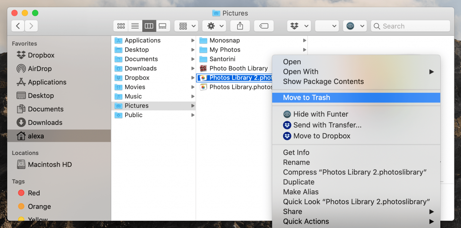 Photos Library on Mac - How to Use Apple Photos | Nektony