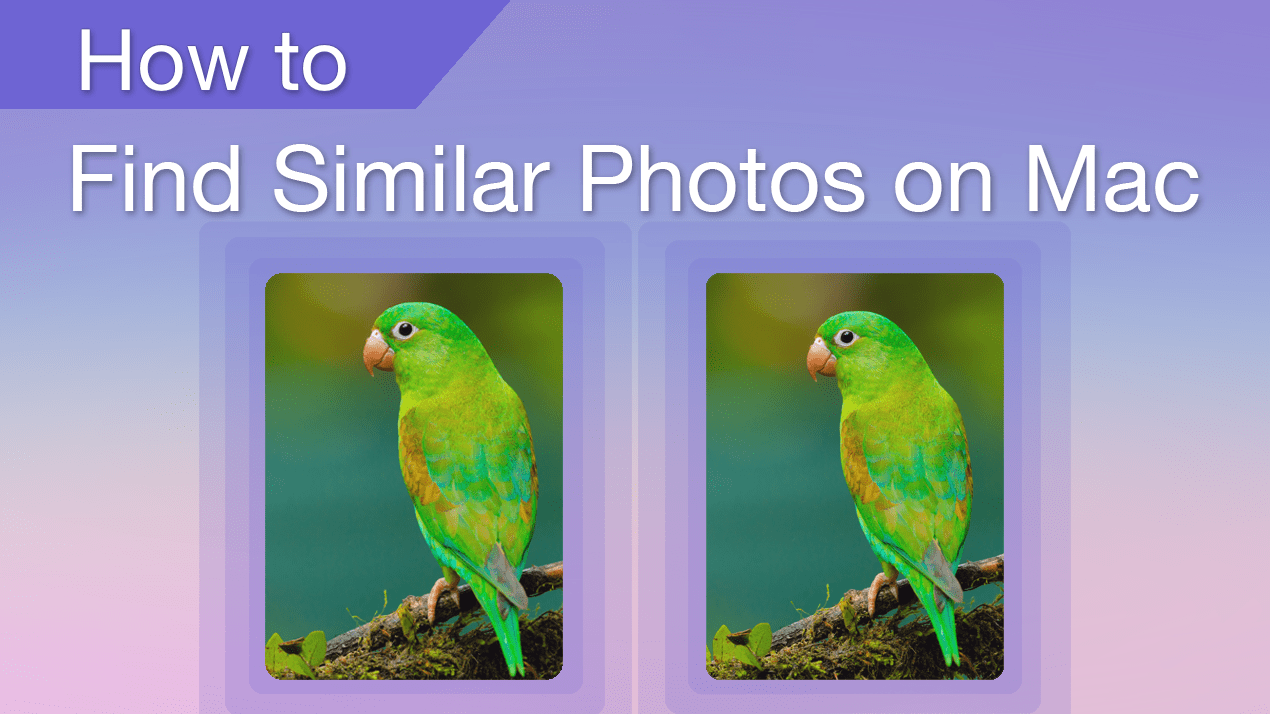How to find similar photos on Mac