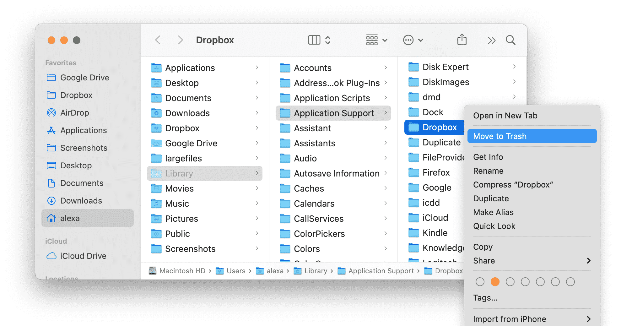 Library showing Dropbox support files