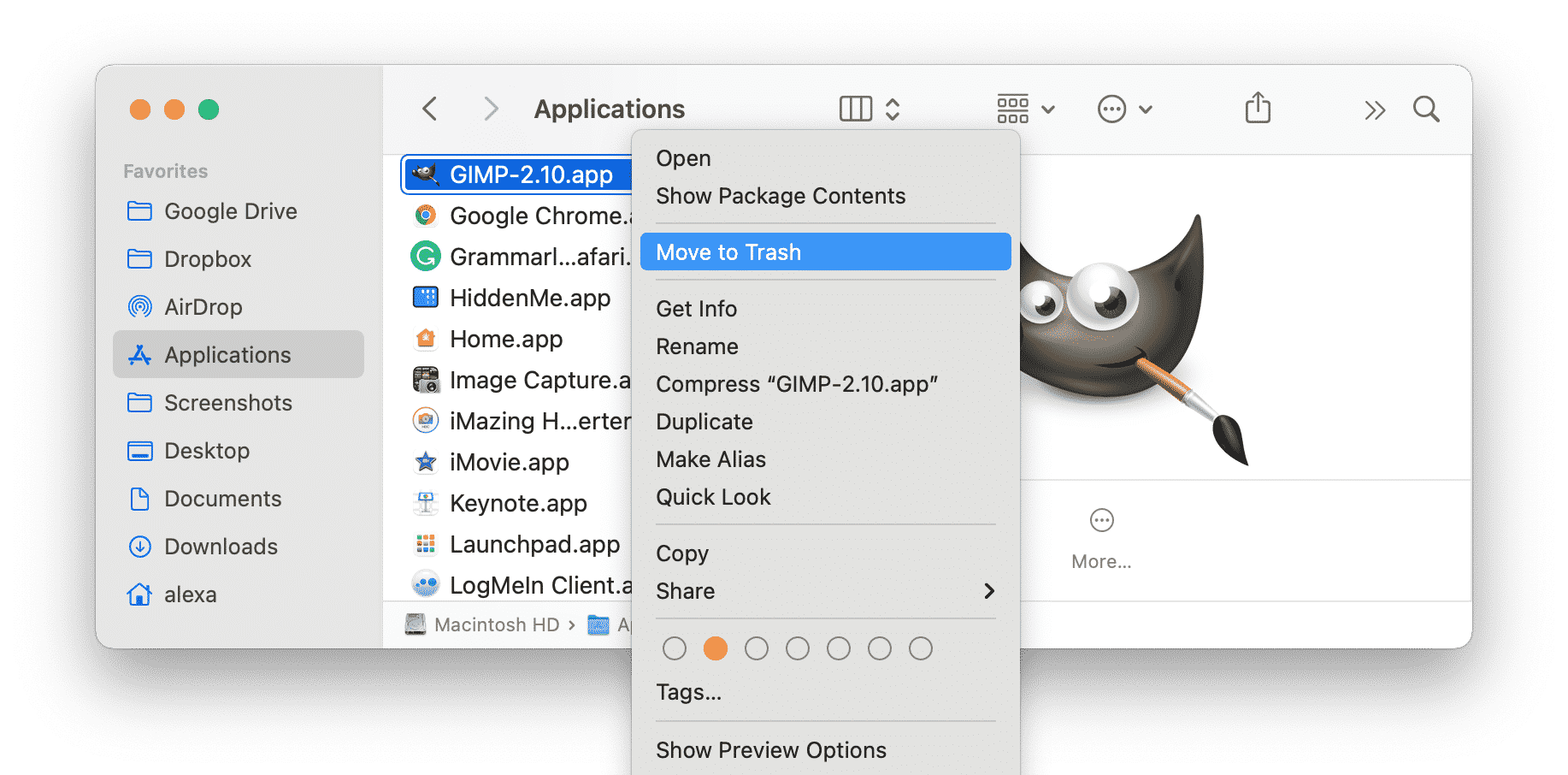 GIMP in the Applications folder