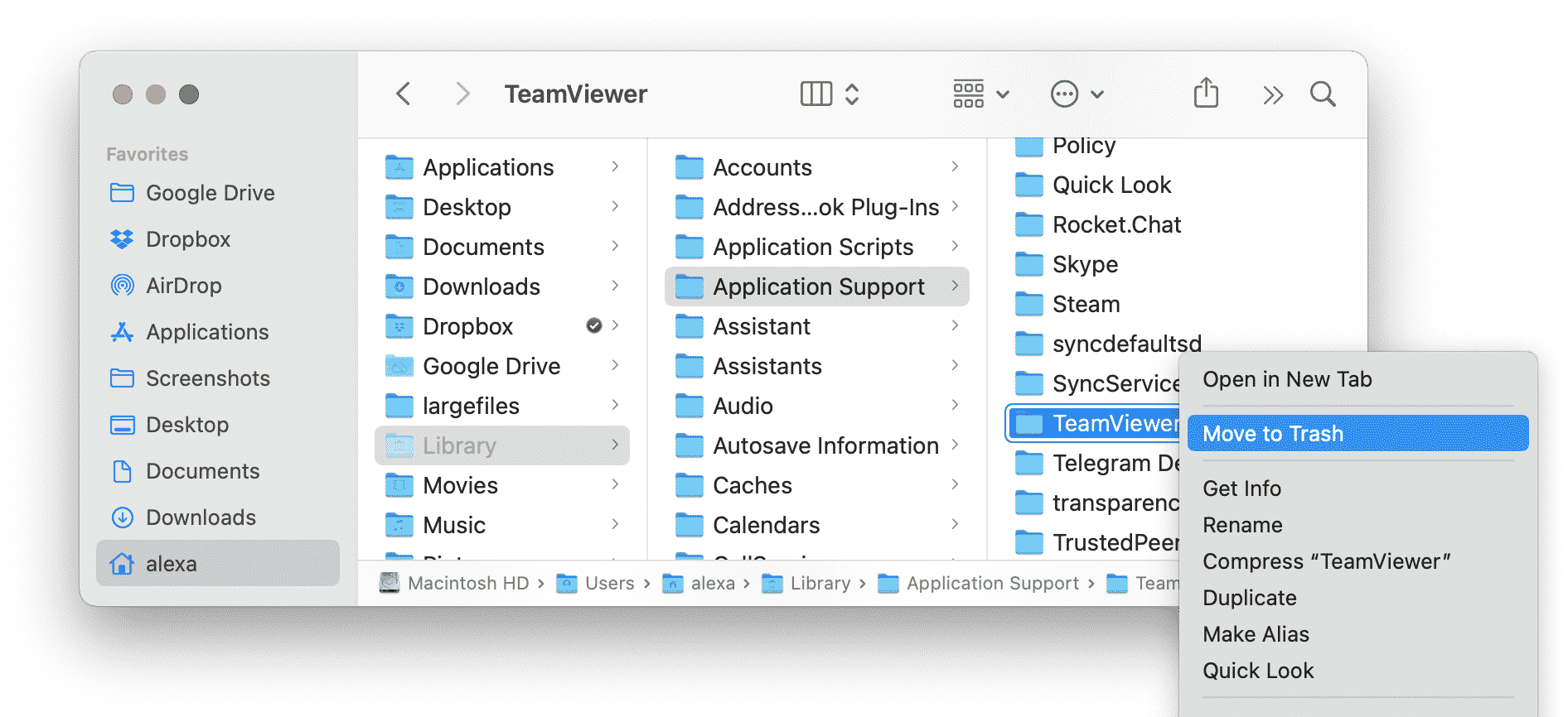 TeamViewer support files in Finder