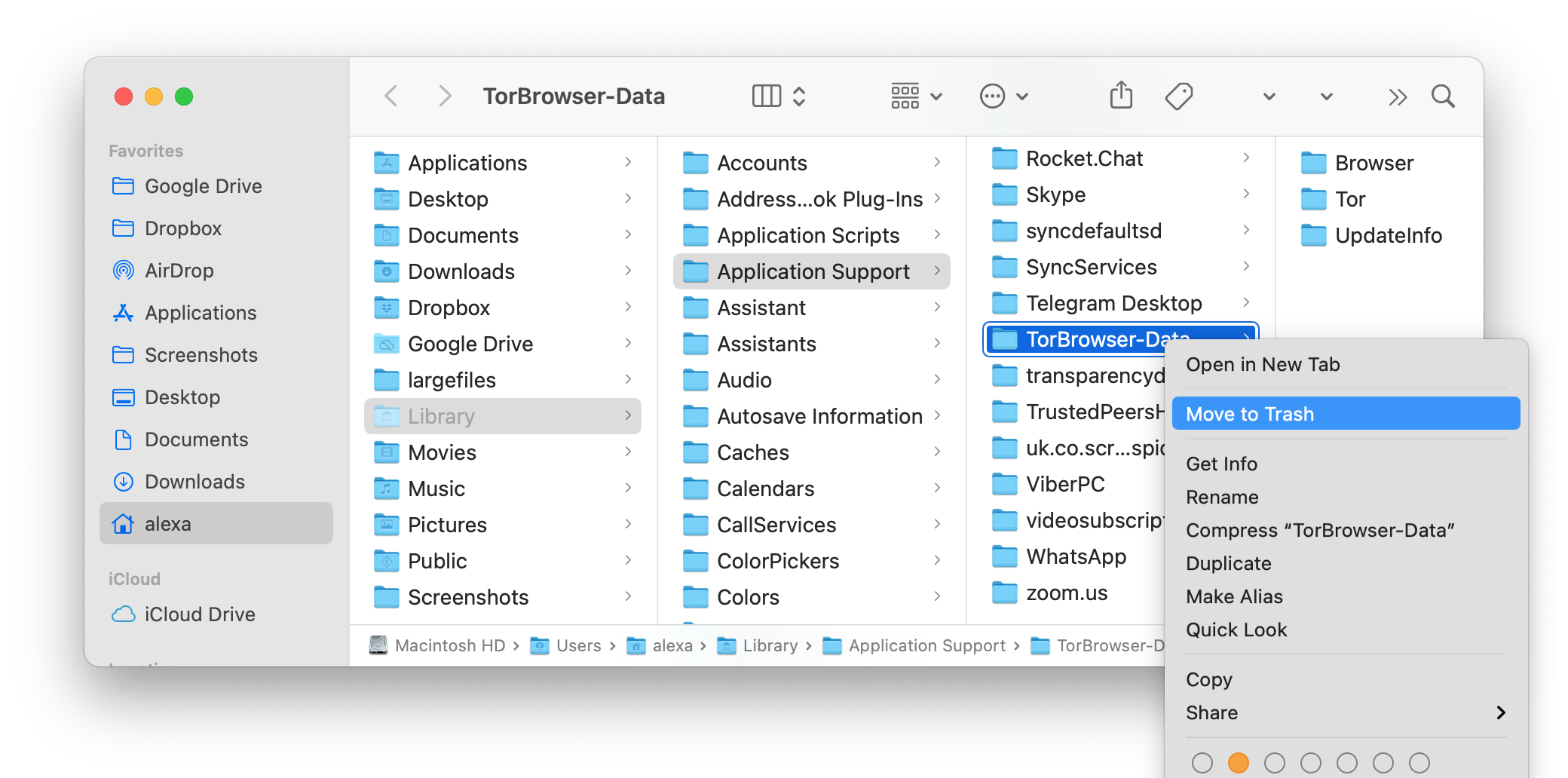 Library folder showing Tor Browser files