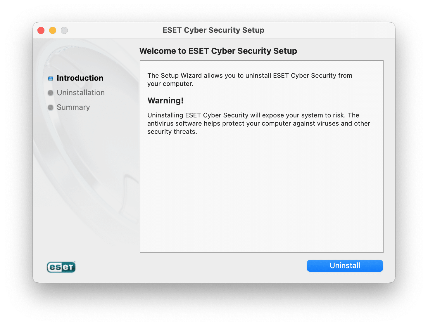 Eset Cyber Security Setup window