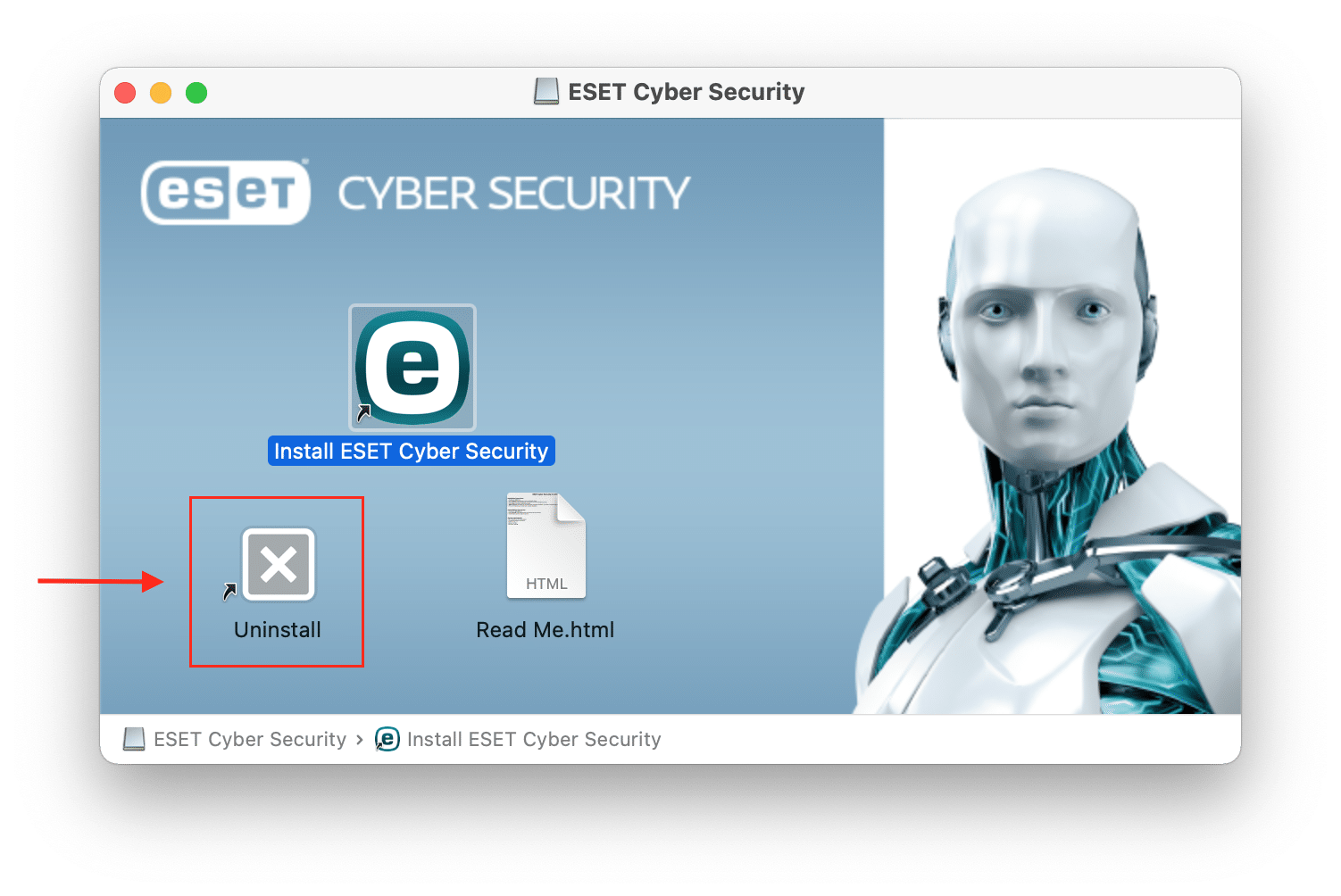Eset Cyber Security installation window