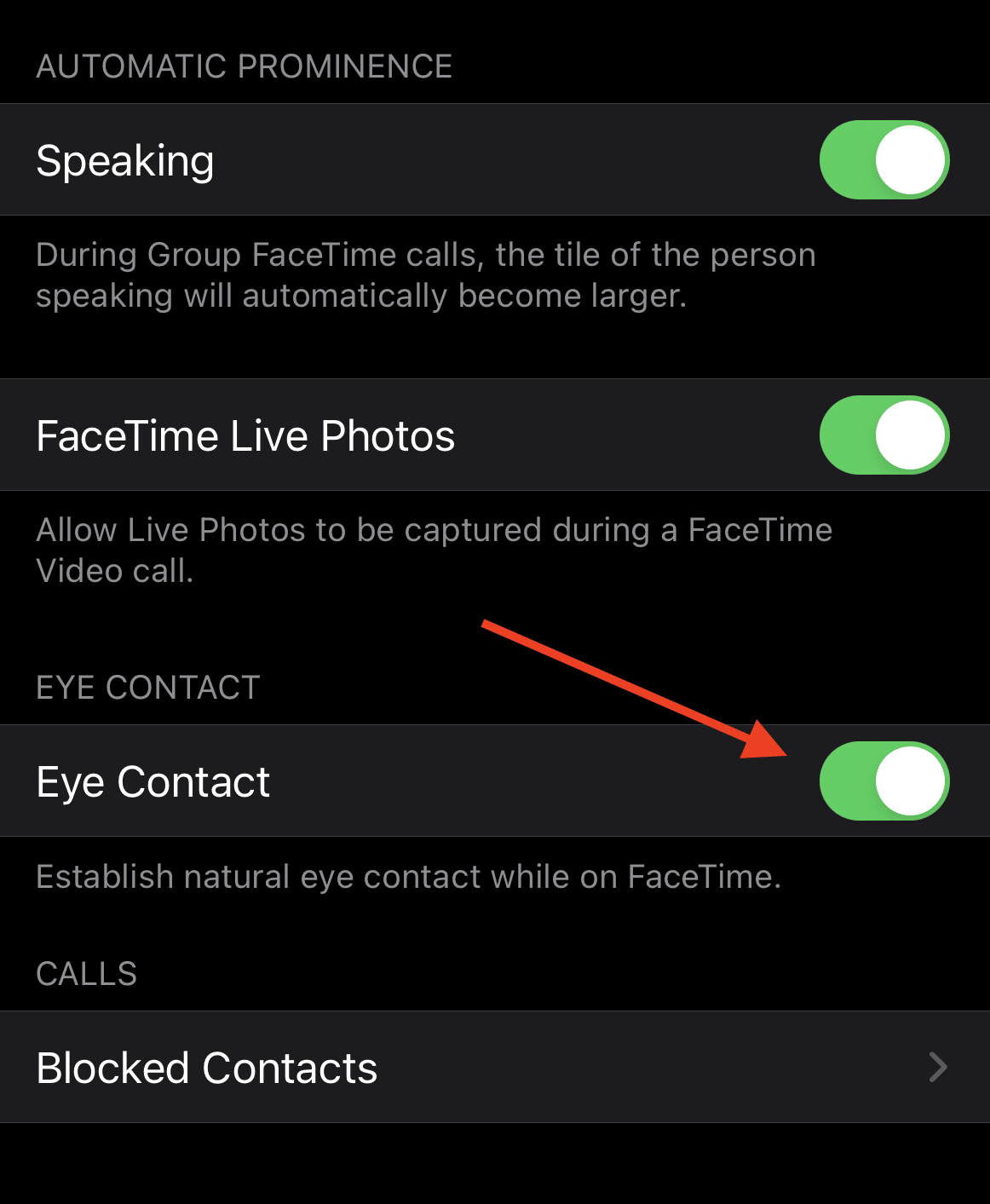 Fake eye contact option in FaceTime