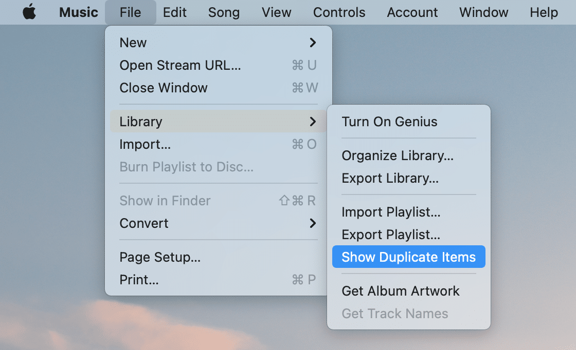 iTunes menu showing option to see Duplicate items