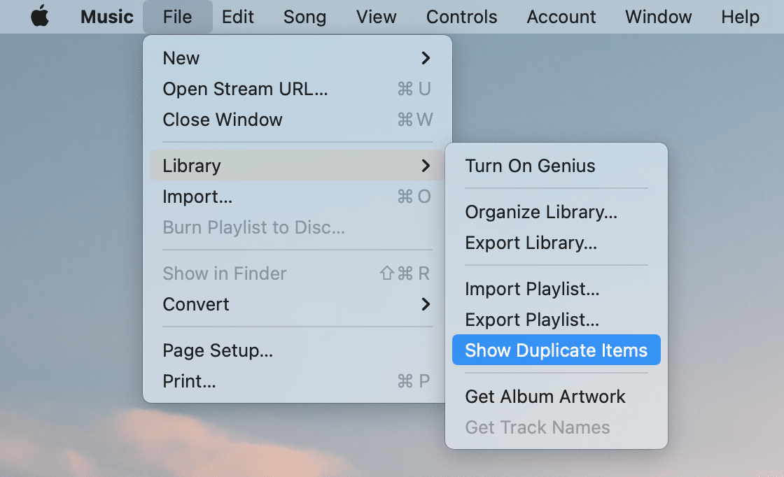 duplicate finder itunes mac