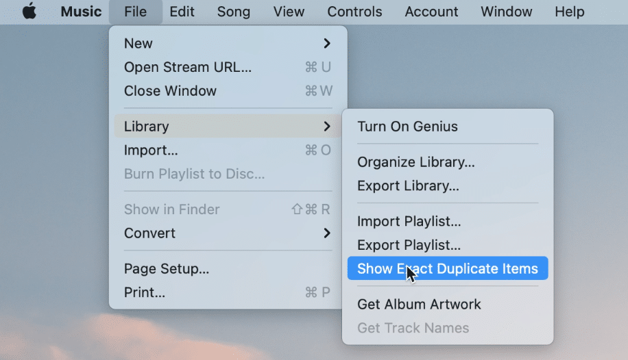 Music app menu showing option to See Exact duplicate items