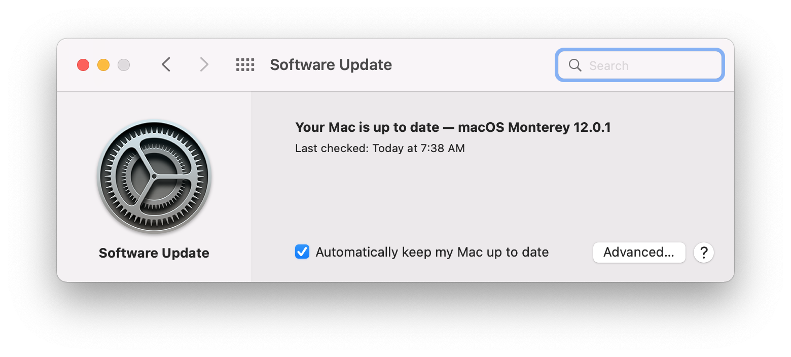 macos software window showing that mac is up to date