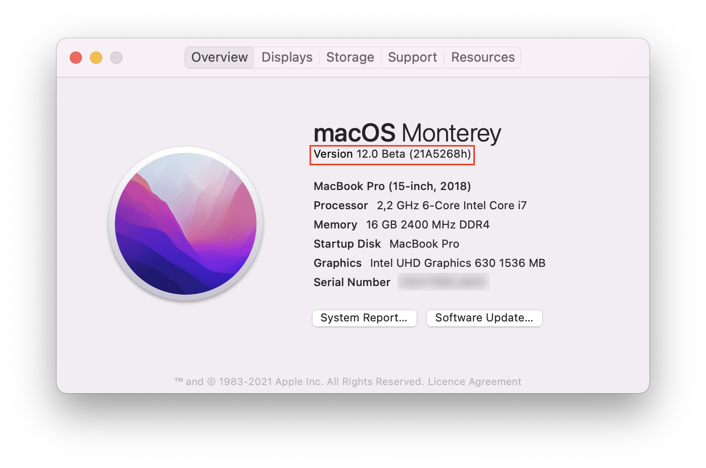 About this Mac window showing the macOS Monterey version